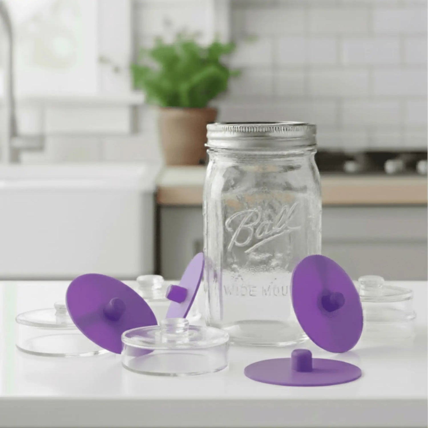 Seal it! Fermentation Set