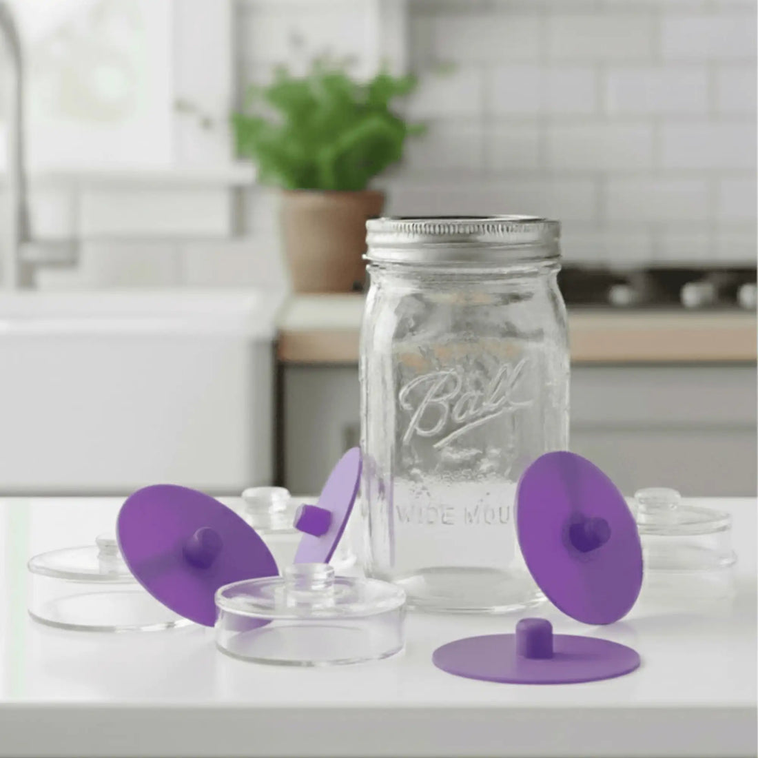 Seal it! Fermentation Set